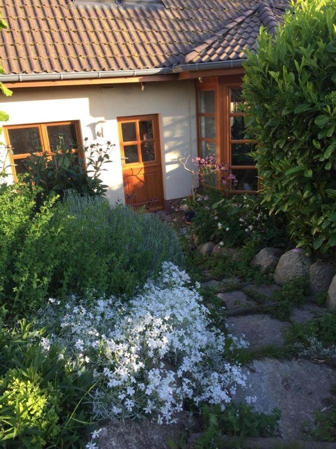 Ferienwohnung Stockrose Миделхаген Екстериор снимка